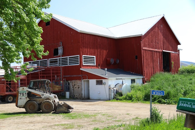 Little Brown Cow Cheese Sheboygan Life