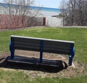 Breaking news: north point park bench declares itself an independent nation, passports required for sitting!