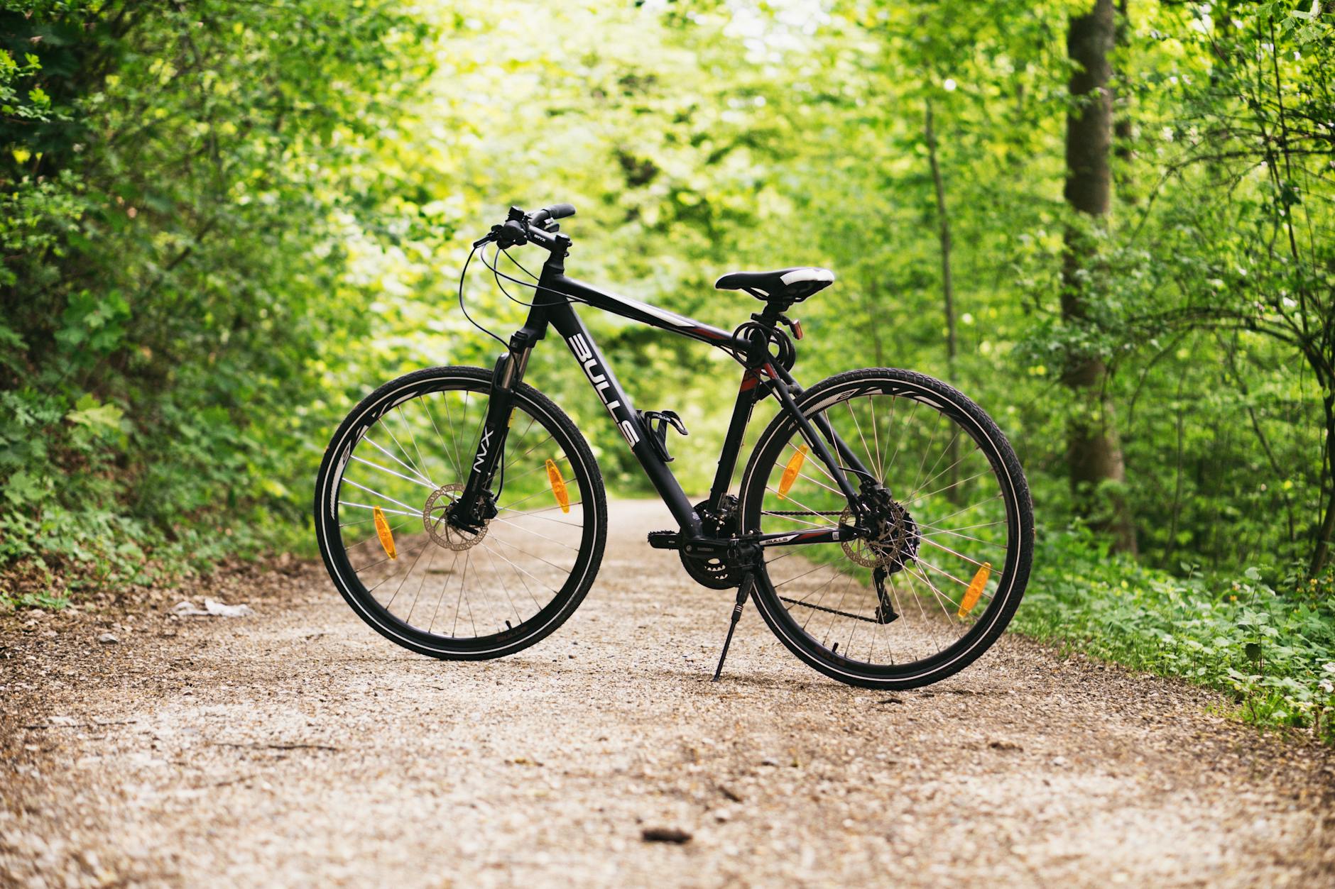 Black and white hardtail bike on brown road between trees