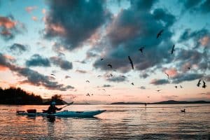 Silhouette photo of woman riding on kayak at middle of sea