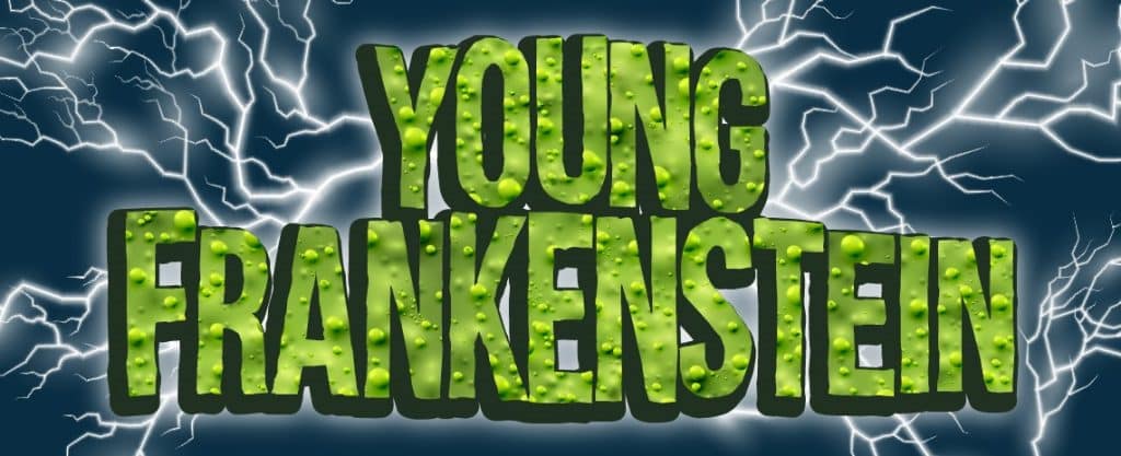 Young Frankenstein Community Theater image